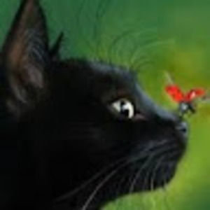 Meet your Posher, Sky